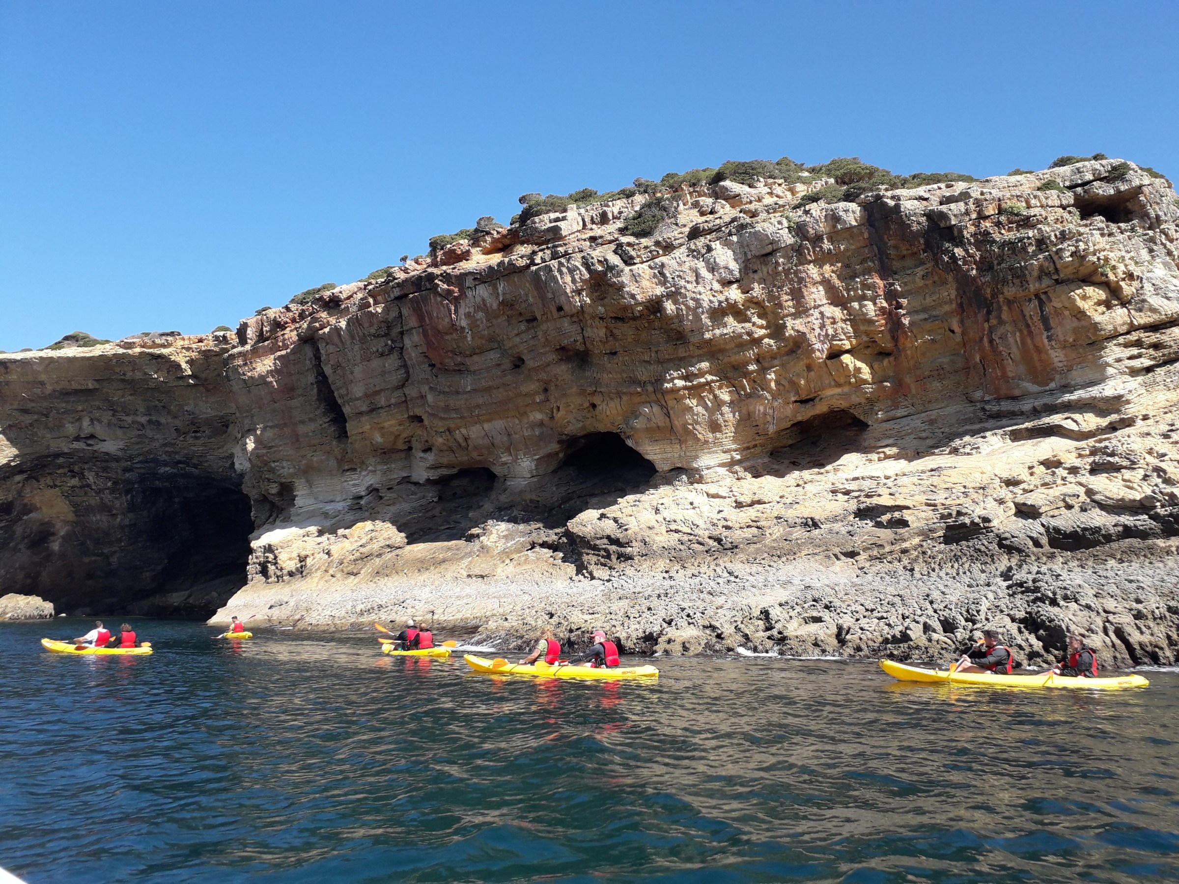 group kayaking