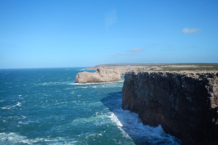 a close up of a rock near the ocean