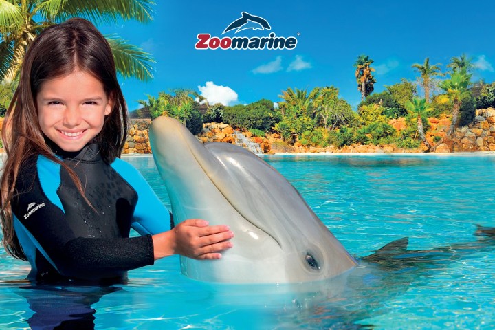 Child in wetsuit smiling, touching a dolphin in a pool with tropical plants in the background.