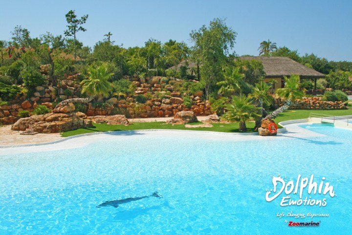 Clear pool with dolphin, rocky landscape, green trees, and a thatched structure in background.