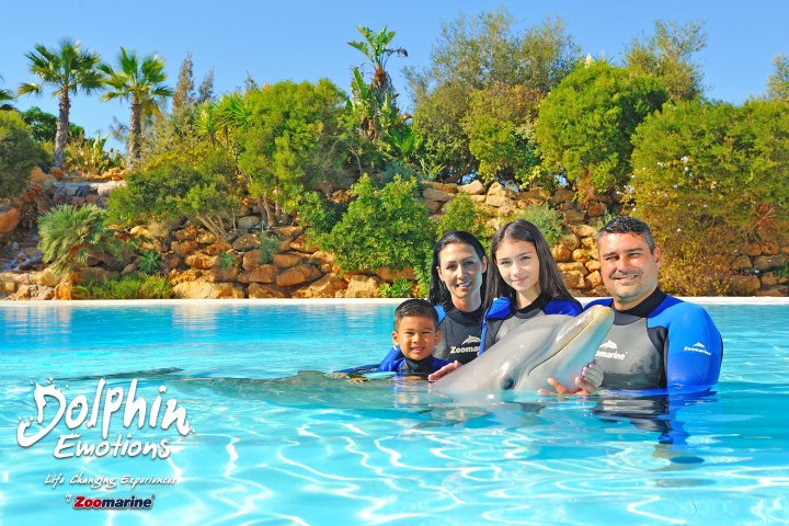 Family in wetsuits with a dolphin in a pool, tropical plants in background.