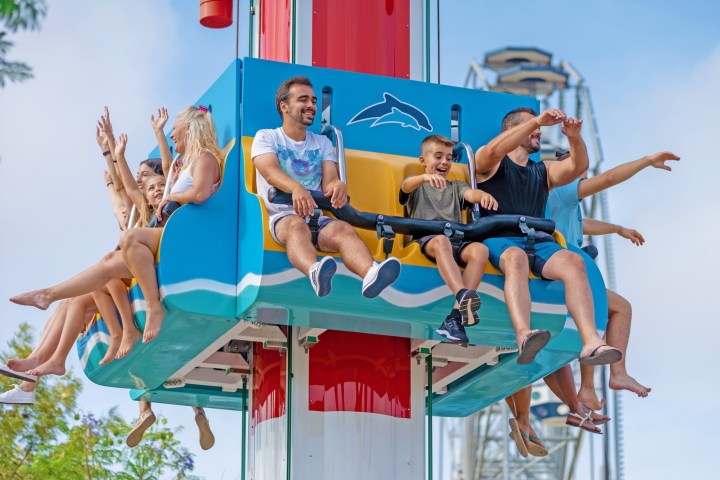 Group of people enjoying a drop tower ride at an amusement park.