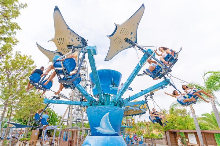 Amusement park ride with manta ray design, spinning riders on swings under clear sky.